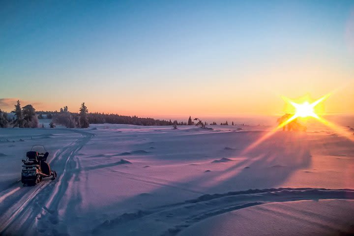 Snowmobile Safari in the Nature image