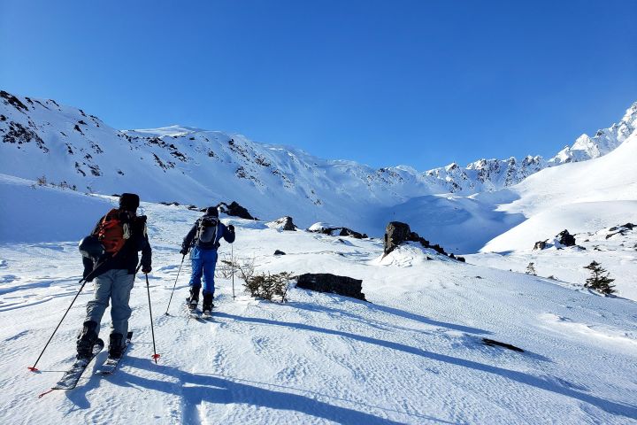 Snowmobile-Access Backcountry Skiing & Splitboarding  image