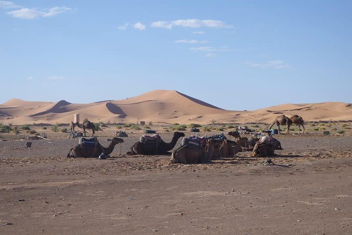 Day tour to Draa valley & Zagora Desert & camel ride departure from Ouarzazate image