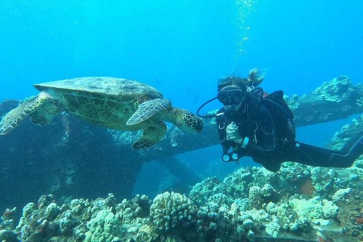 Discover Scuba Diving Class - Lahaina image