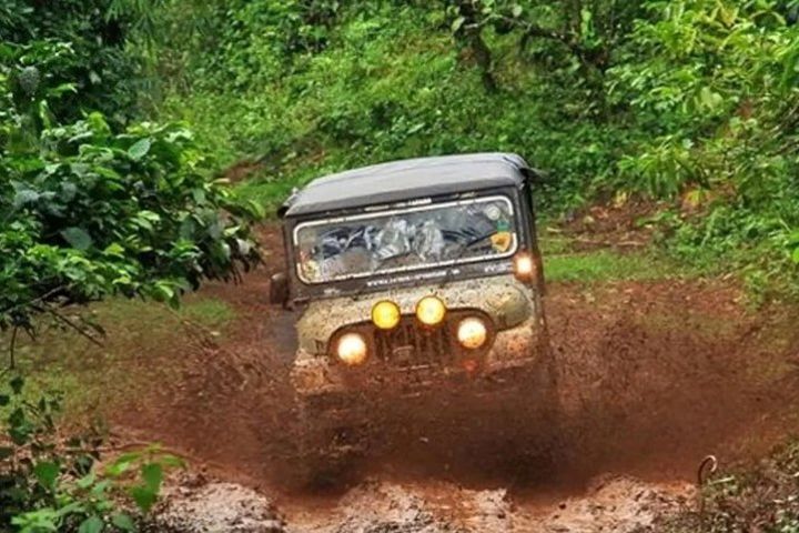 Dudhsagar Waterfall Trip from North Goa image