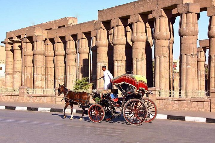 3-Hour Private Luxor Horse Carriage City Tour image