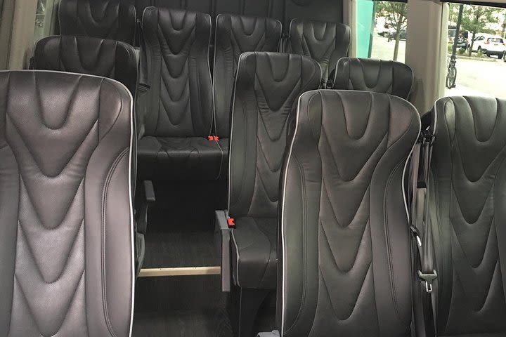 Luxury VIP New York City Intercity Group Transfer by Sprinter, Mini or Coach Bus image