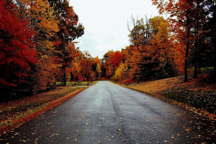 Hudson Valley Fall Foliage Wine and Local Cheese Tour image