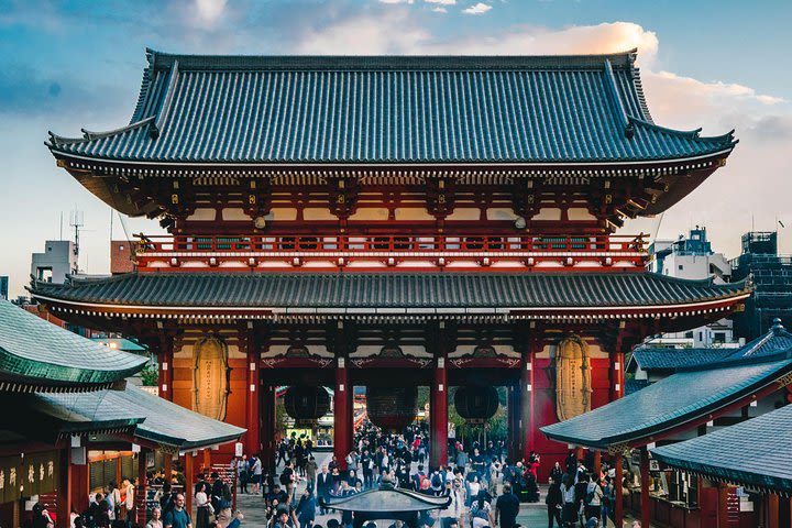 Tokyo Private Tour by Car / Van - Guide Option Available image