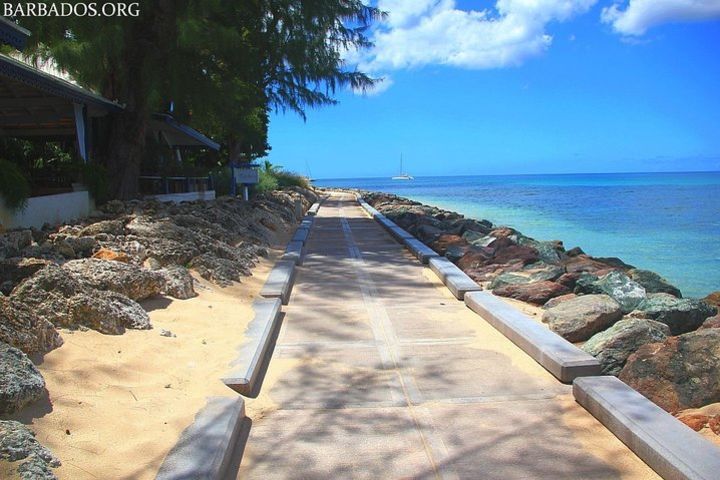 Panoramic Coastal Barbados Tour image