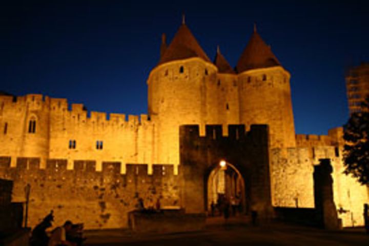 Carcassonne Guided Walking Tour (private) image