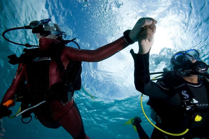 Beginners Scuba Diving Experience in Gran Canaria image