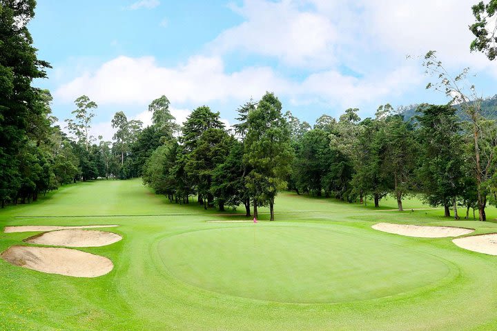 Day Trip to Nuwara eliya from Kandy  image