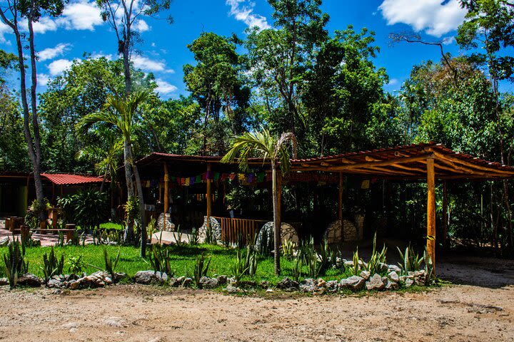 Extraordinary Combo Atv (single) Cenote and Zip Line  image