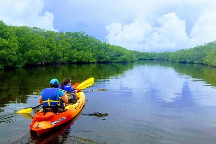 Explore the Mangrove Creeks with an All Day Tandem Kayak Rental  image