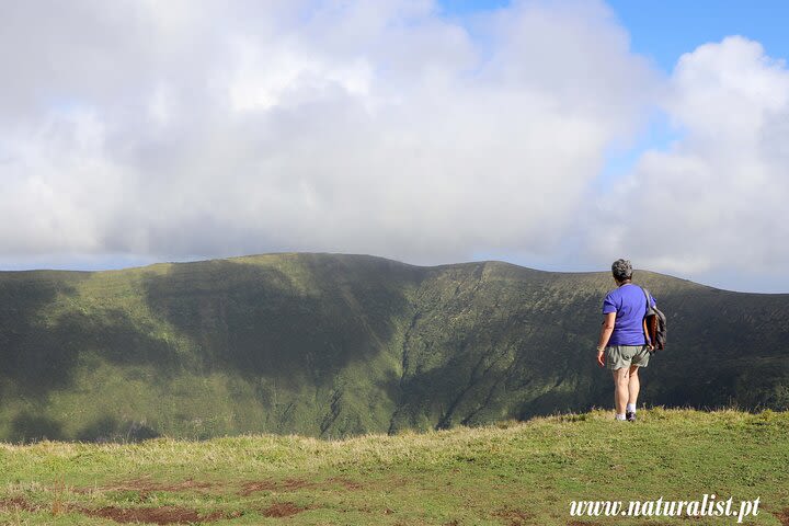 Faial Island - Jeep or Van Tour - Half Day image