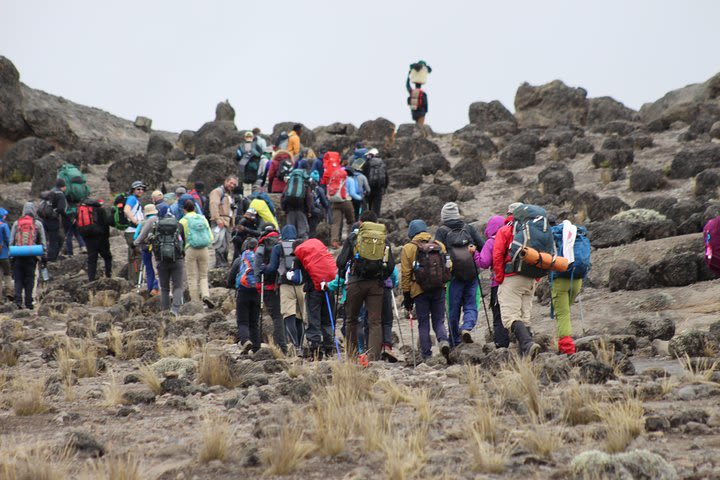 Kilimanjaro Machame Route 7 Days image