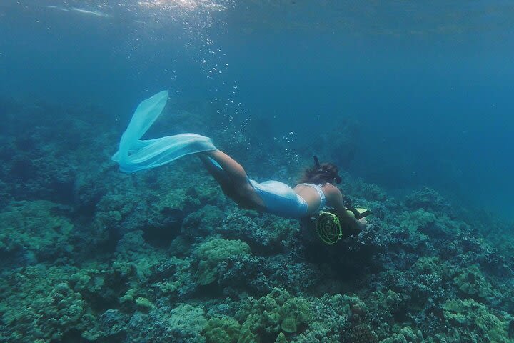 Mermaid Tail with Sea Scooter Fantasy Tour for Advance Snorkelers image
