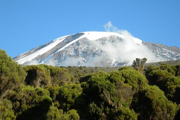 Mountain Kilimanjaro Climbing 8 Days Lemosho Route image