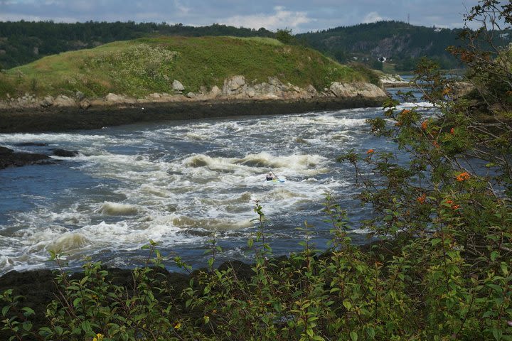 Fundy Coast to Fundy Shore Tour image