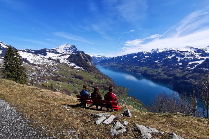 From Zurich: Breathtaking waterfall and lakes private tour image