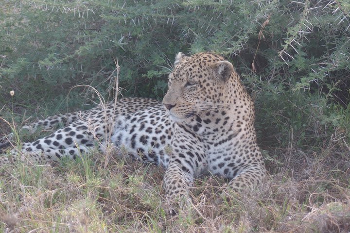 4-Day Taste of Kenya - Mid-Range image