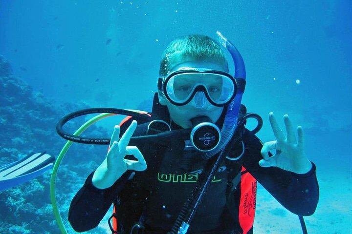 Scuba Diving Intro for Beginners with Lunch & Transfers image