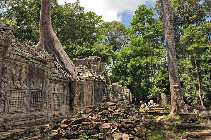 Angkor Wat Sunrise Tour One Day With Lunch And Massage (1h Each) image