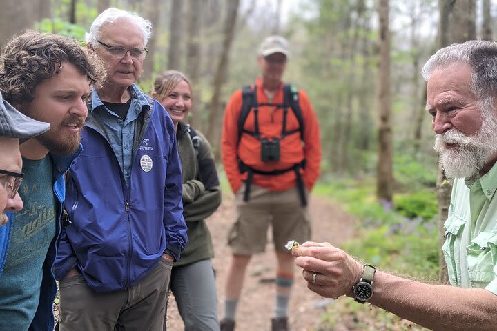 Sunset Hike on the Blue Ridge Parkway image
