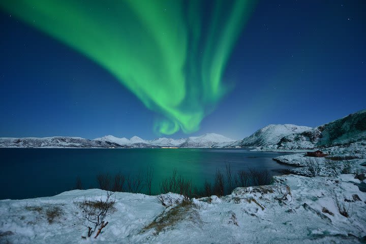 Tromso: Small Group Customised Northern Lights Hunt (max 6 guests) image