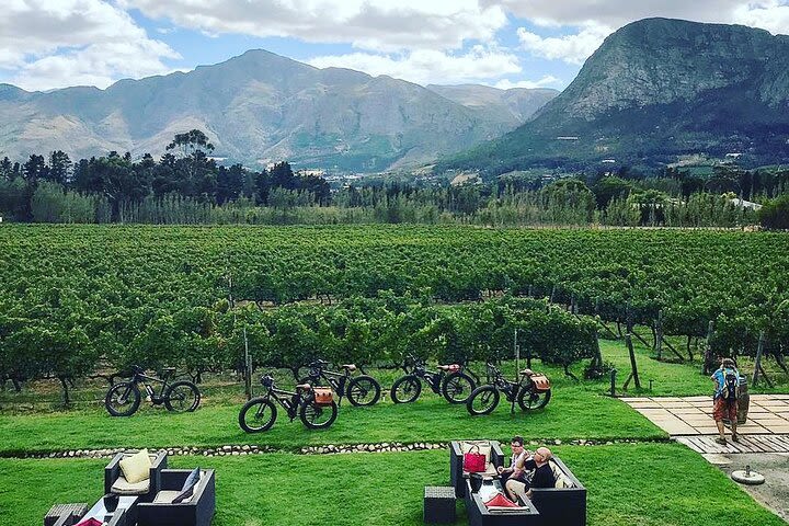 Franschhoek E-Bike Wine Tours image