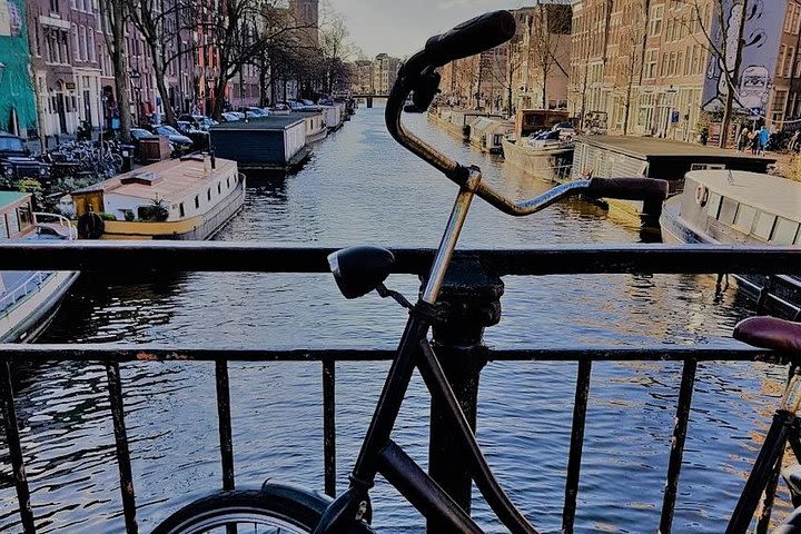 Amsterdam City & Countryside Tour: The Best of both Worlds image