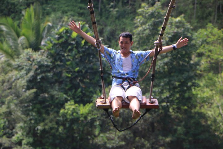 Bali Swing Tours image