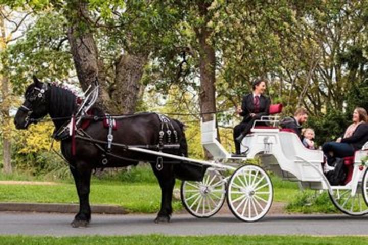 Grand Horse-Drawn Carriage Tour image