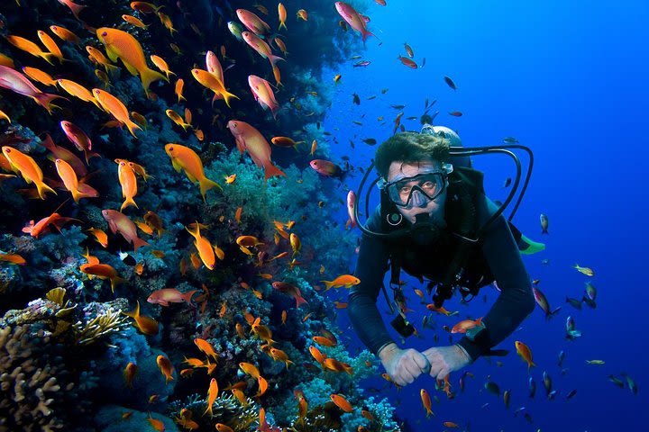 Pattaya Padi DSD (Beginner Diver) image