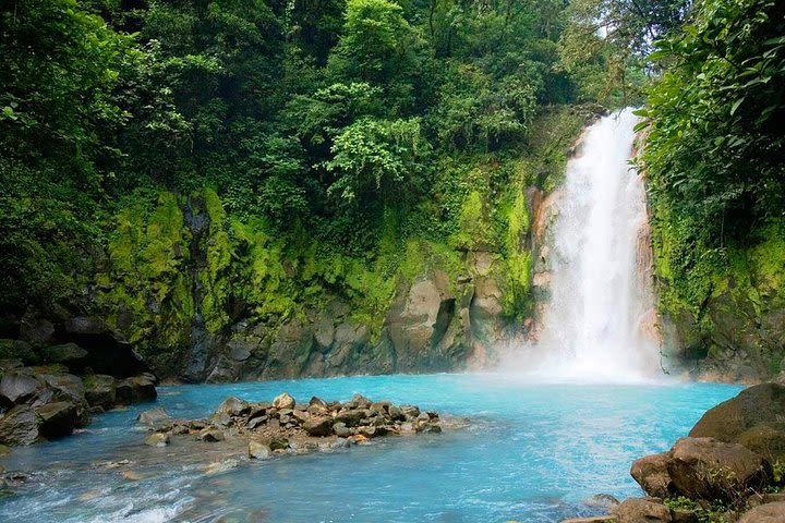 Rio Celeste and Tenorio National Park Hike + Lunch from La Fortuna image