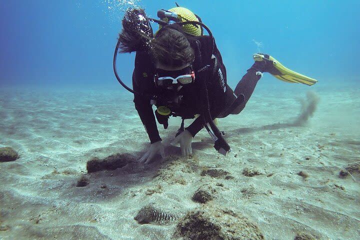 SSI basic diver In Tenerife - 2 Dives image