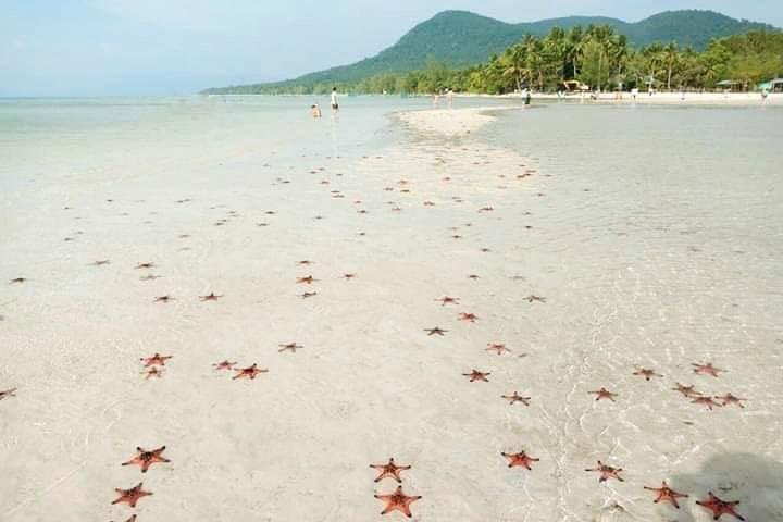 Truly Vietnam- A great day to Starfish beach & Phu Quoc national park image