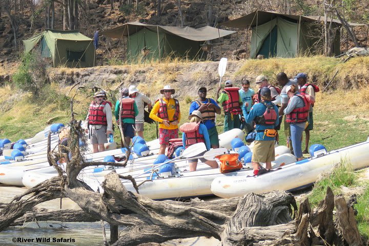 Canoeing Upper Zambezi 1 Day - River Wild Safaris image