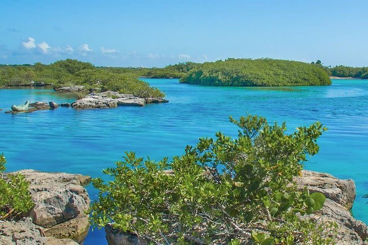 Tulum Cenote and Snorkel image