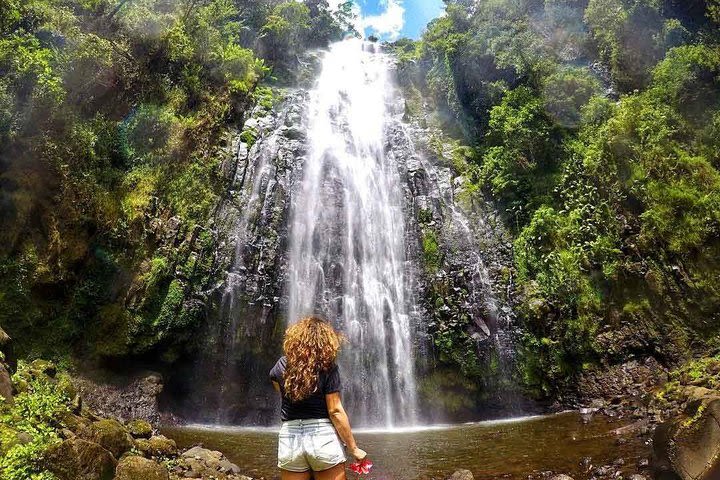 Materuni Waterfalls & Coffee Tour image