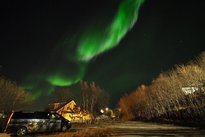 Northern Lights tour with Alta Adventure image