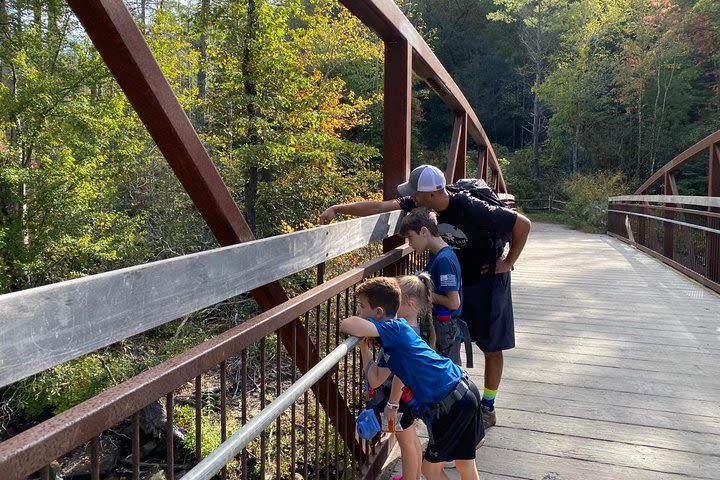 Private Family-Friendly Guided Waterfall Tour with Transportation from Asheville image