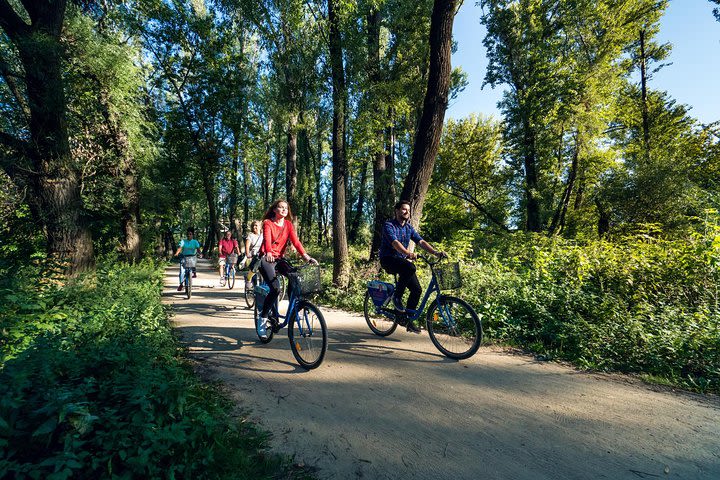 Half-Day Warsaw City Sightseeing Bike Tour for Small Group image