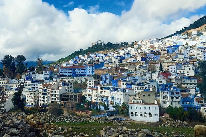 From Fes to Visit chefchaouen and transfer to tangier (Port or Aiport or Hotel) image