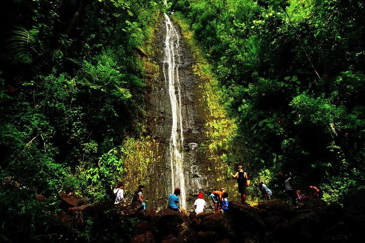 Oahu: Honolulu's Backyard Rainforest Driving Tour image