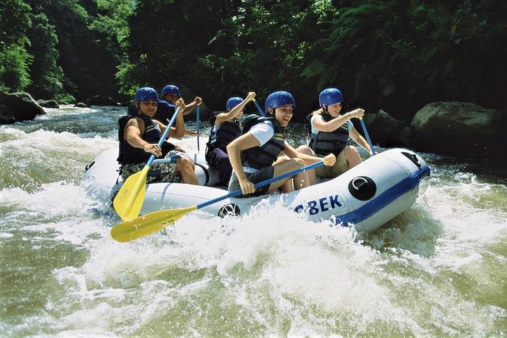 Enjoy The Excited Bali White Water Rafting with Ubud Tour Including Lunch image