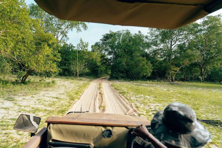 Full-Day Pilanesberg Safari from Sun City image