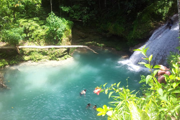 Falmouth Dunns River Falls and Blue Hole Excursion image