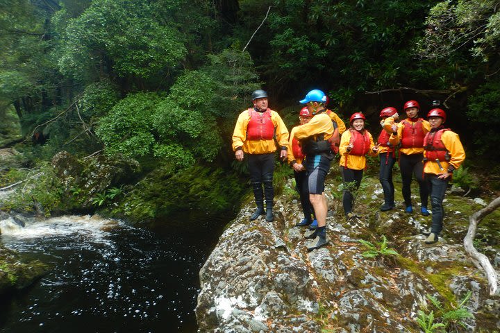 King River Whitewater Rafting trip including the Westcoast Wilderness Railway image