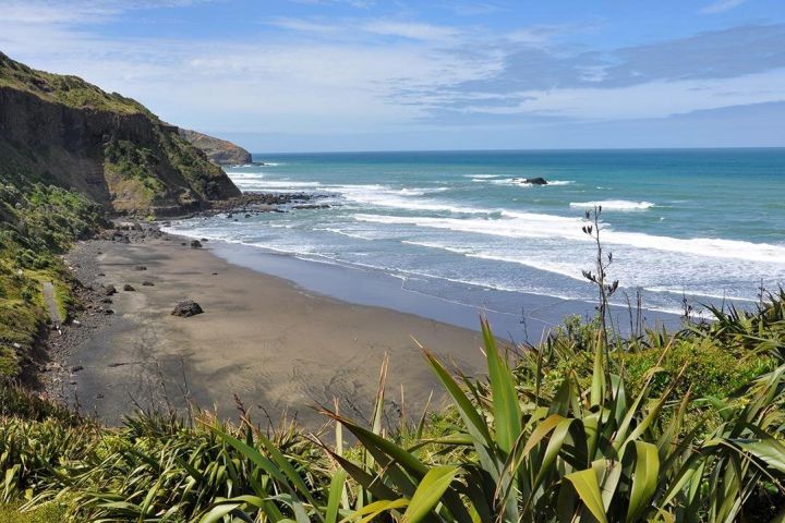 Auckland's Wild West Coast & Black Sand Beaches Tour image