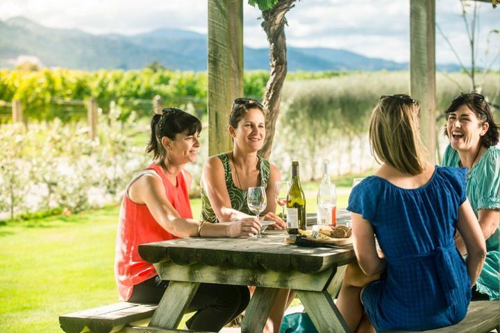 Full Day Winemaker's Tour in Marlborough image