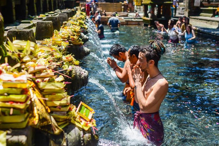 Private Tour :Ubud Cultural with Tirta Empul Holy Water Temple All-inclusive image