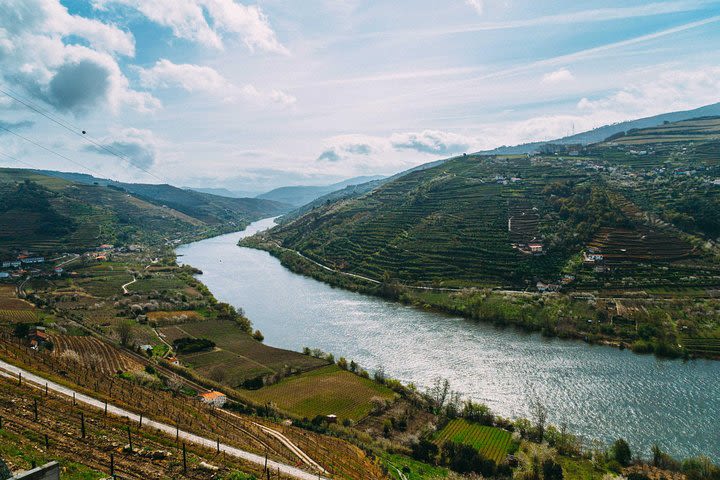 PRIVATE Day Trip Through Enchanting Douro Valley image